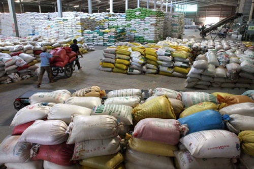 mekong delta building five areas to cultivate special rice