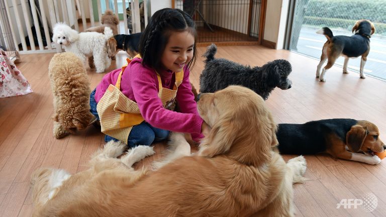 Dogs by the hour: Japan offers pet rental service