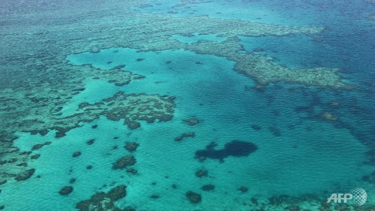 plan ensures great barrier reef future australia