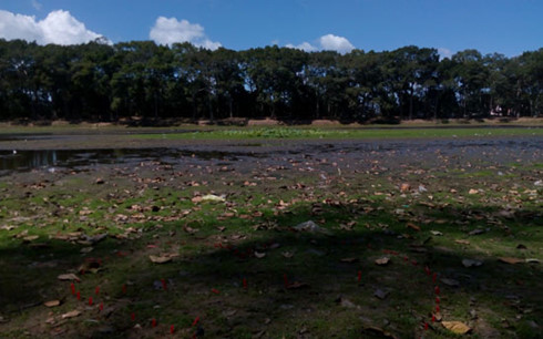 Ba Om Pond - famous tourist site in Tra Vinh dries up, Vietnam guide, Vietnam airlines, Vietnam tour, tour Vietnam, Hanoi, ho chi minh city, Saigon, travelling to Vietnam, Vietnam travelling, Vietnam travel, vn news