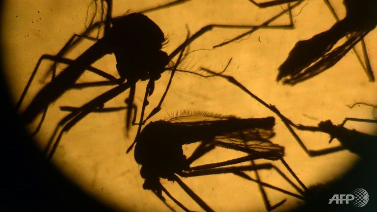 First case of Zika virus detected in Philippines since 2012