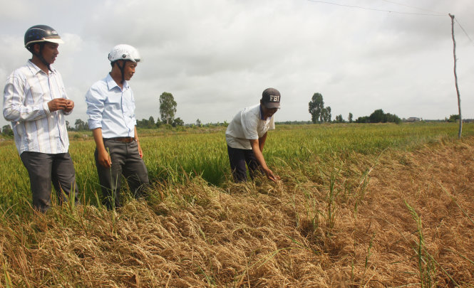 Drought, salinity threaten millions of farmers in Vietnam’s Mekong Delta
