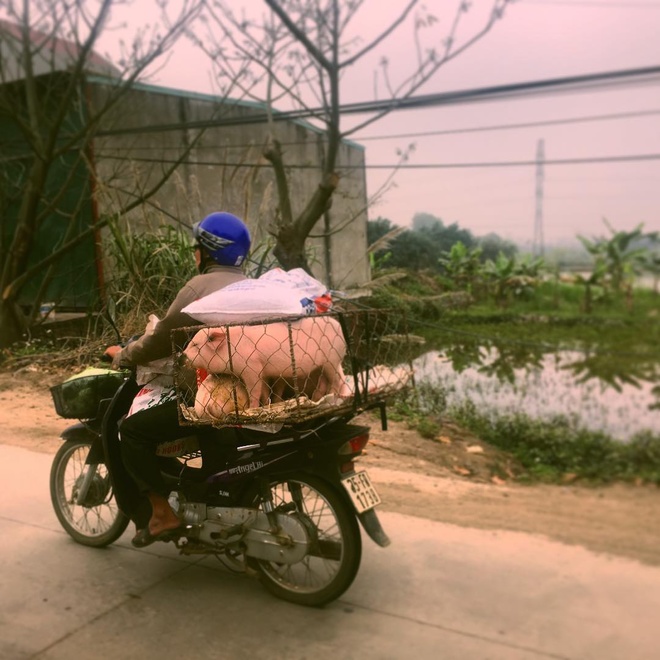 Sao phim 'Kong' thích thú đi xe máy ở Việt Nam