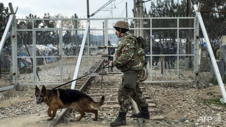 migrants rush to greek camp on rumours border will open