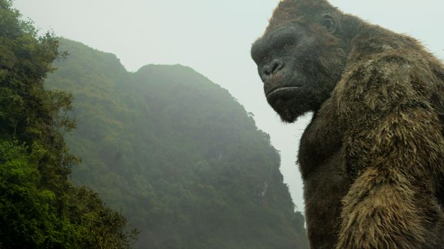 Why Vietnam Was The Perfect Location For Kong Skull Island New