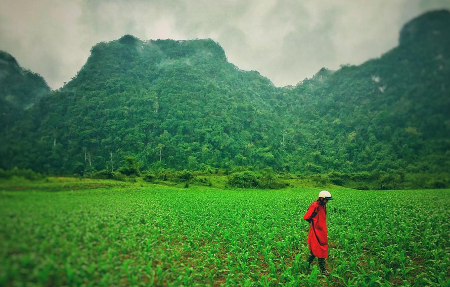 Why Vietnam Was The Perfect Location For Kong Skull Island New