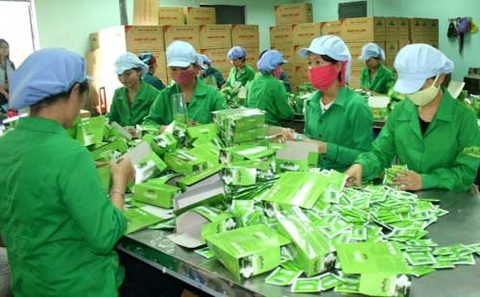 vietnamese tea firms eye us market