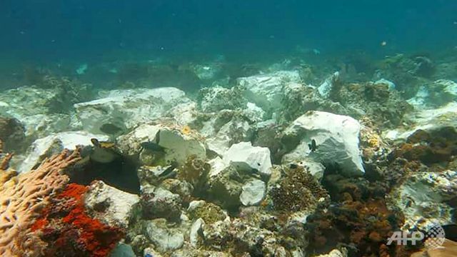 UK cruise ship damages pristine Indonesian coral reef