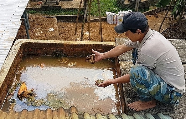 Quảng Nam residents desperate for non-contaminated water