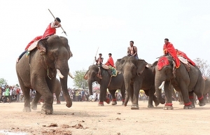 Festivals feature unique culture of ethnic people in Dak Lak