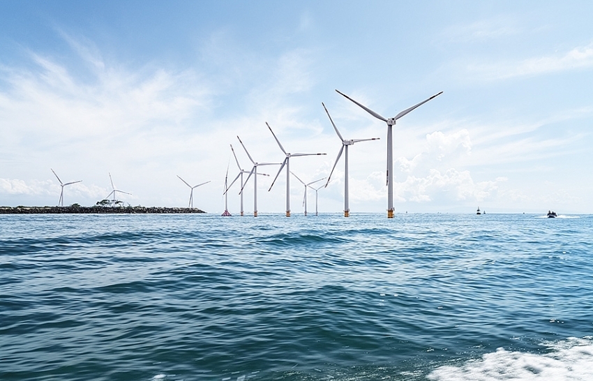 Maximising the wind revolution in energy sector