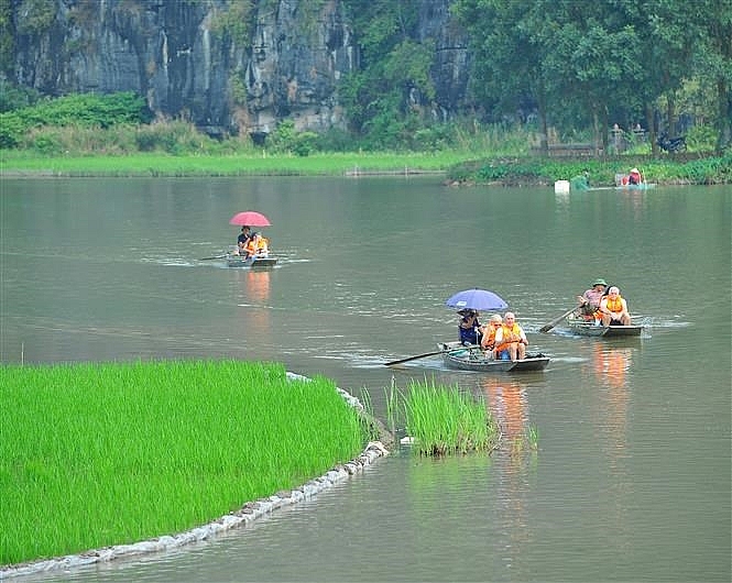 tam coc bich dong blanketed with green rice fields