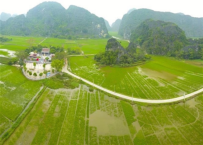 tam coc bich dong blanketed with green rice fields