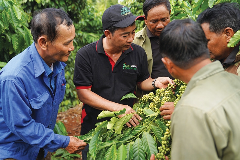 Nestlé Vietnam introducing premium quality Vietnamese coffee to the world