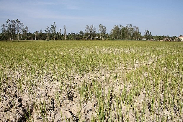 vietnam red cross society supports drought affected people