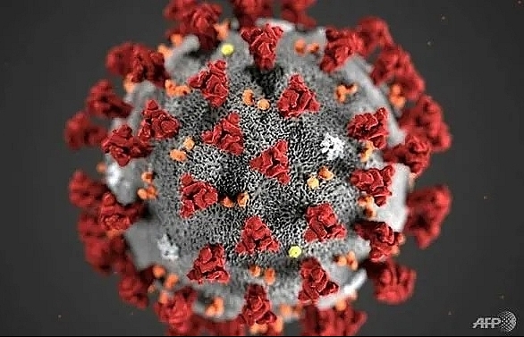 More than 600,000 coronavirus cases recorded globally