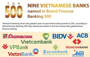 Nine Vietnam banks named in Brand Finance Banking 500 (Infographics)