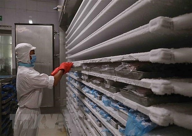 Vietnam’s cold storage market to worth 295 million USD in 2025