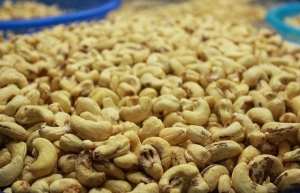 Cashew container confusion points to payment issues