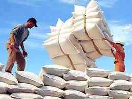 vn exports 185 million tonnes of rice in first quarter