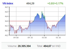 market plunges to the floor as confidence hits rock bottom