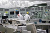 tepco shares surge on compensation share report