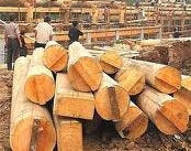 Timber origin issues plague local exporters