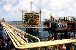 Vung Ro digs for oil partner