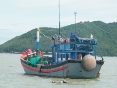 Fishers leave vessels ashore as fuel prices rise