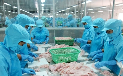 EU to import more Vietnamese seafood