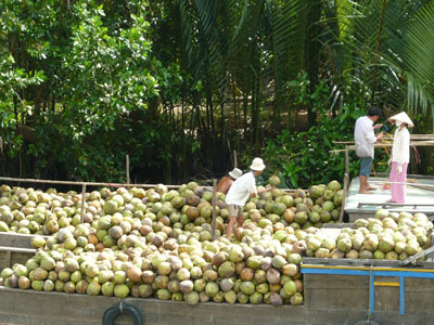 fdi projects provide thousands of jobs in ben tre province