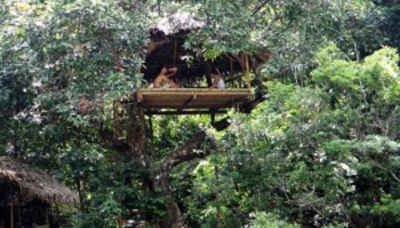 birds nest shaped restaurants take off in phong nha ke bang