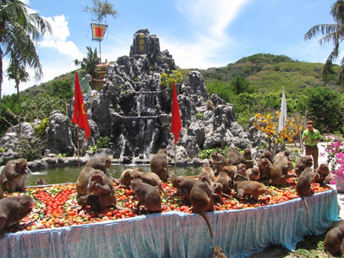 7 unique islands of vietnam named after animals hinh 5