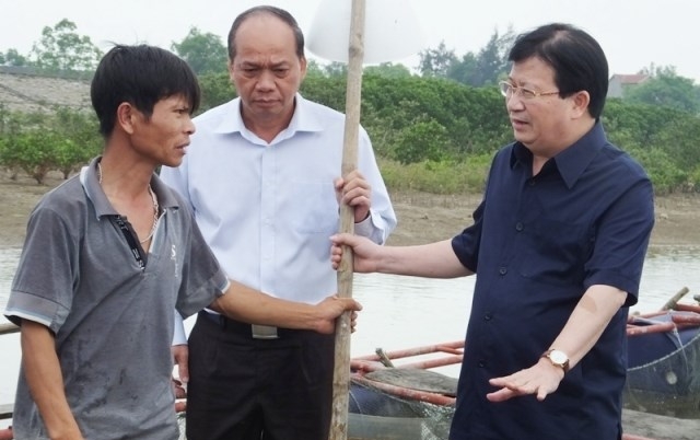 searching for the culprit of mass dying of fish in central vietnam