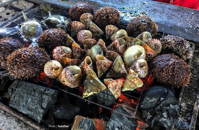 Thế giới san hô kỳ ảo dưới đáy vịnh Vĩnh Hy