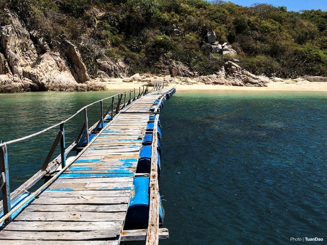 Thế giới san hô kỳ ảo dưới đáy vịnh Vĩnh Hy