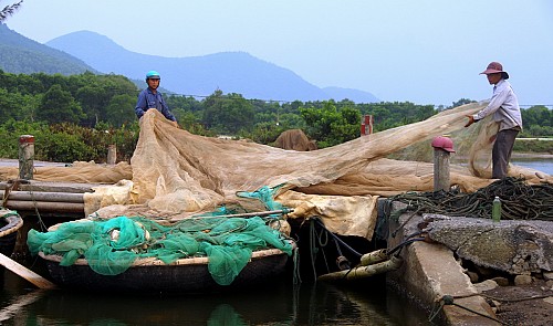 in central vietnam deep sea fish found in shallow water amid mass death fears