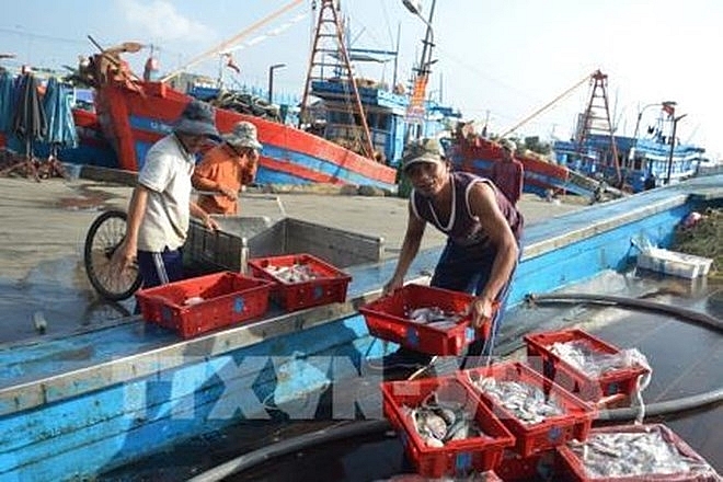 ben tre works hard to curb illegal fishing