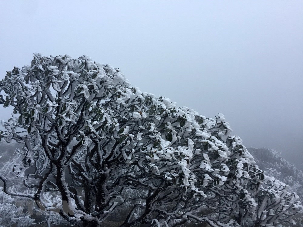 mount fansifan covered with ice as cold spell strikes vietnams northern region