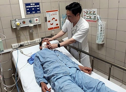 doctors warn against eating wild mushrooms as poisonings rise