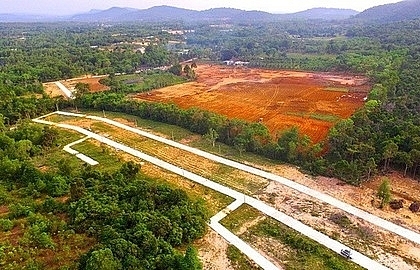 Phu Quoc struggles to control land speculation