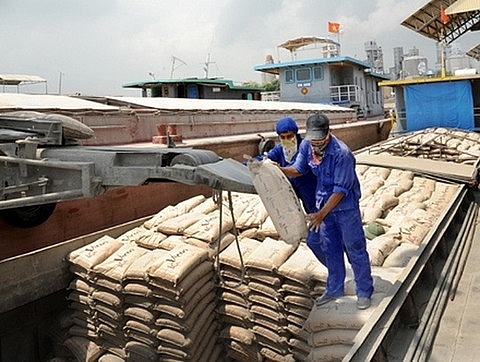 strong domestic cement export growth chinas production drops