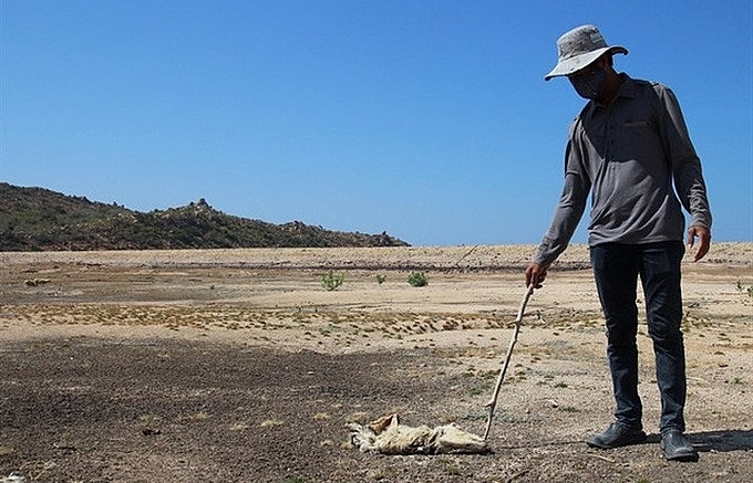 Ninh Thuan seeks support to fight drought