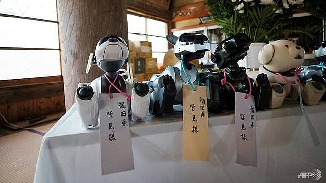 fido funeral in japan a send off for robot dogs