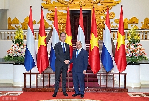 photos vietnamese dutch pms hold talks