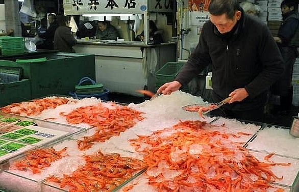 Japan slams WTO ruling on South Korea Fukushima food row