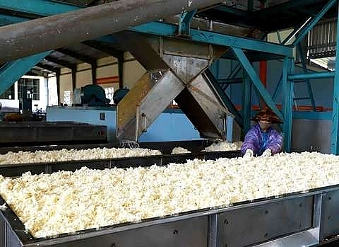 joining in global value chains helps improve firms brand names