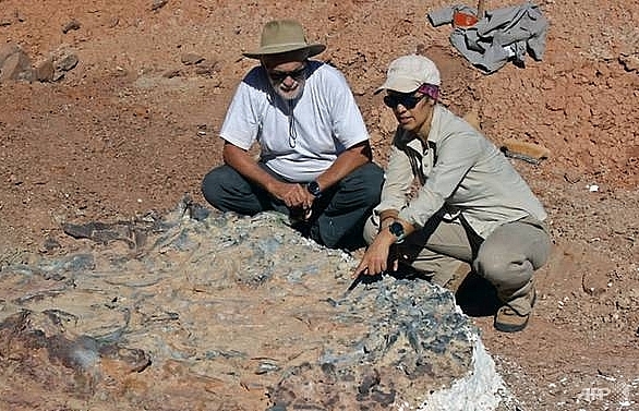 Scientists unearth 220 million-year-old dinosaur fossils in Argentina