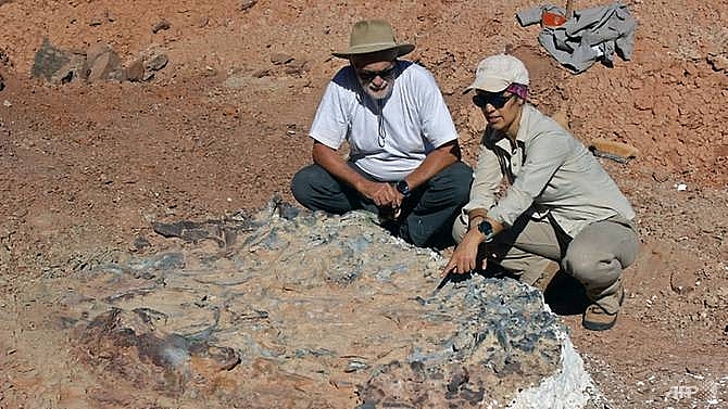 scientists unearth 220 million year old dinosaur fossils in argentina