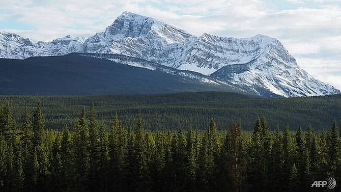 bodies of three mountaineers found in canada